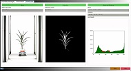 玉米表型属性分析技术